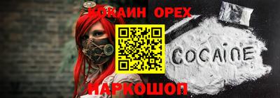 гидра Бердск