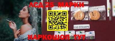 гидра Бердск