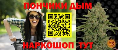 гидра Бердск