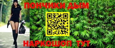 гидра Бердск