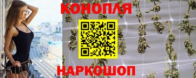 гидра Бердск