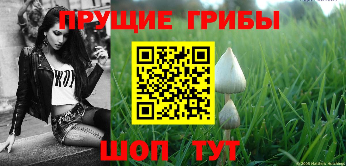 Ижевск  купить наркотики сайты  Вход с VPN  Галлюциногенные грибы Psilocybe  Галлюциногенные грибы Psilocybine cubensis 