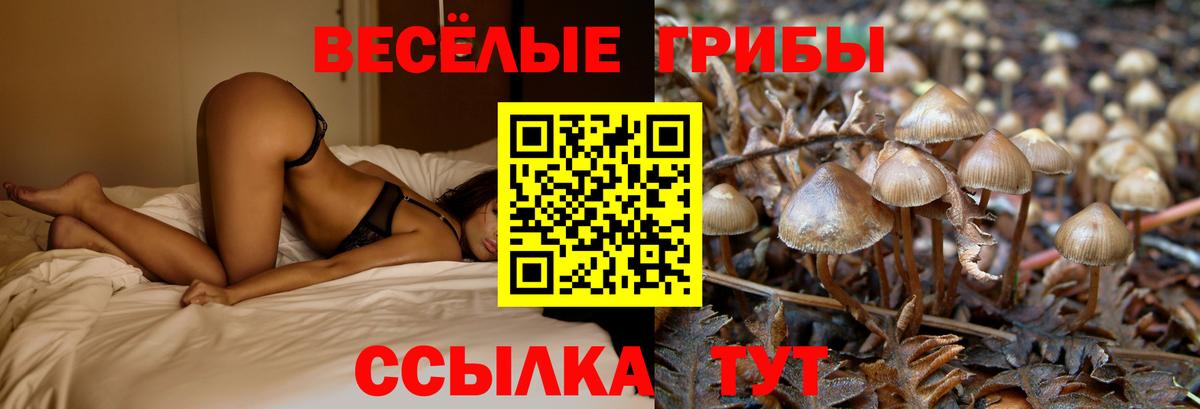 Галлюциногенные грибы Magic Shrooms Ижевск